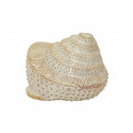 Karaca Home Melanie Sea Shell Trinket