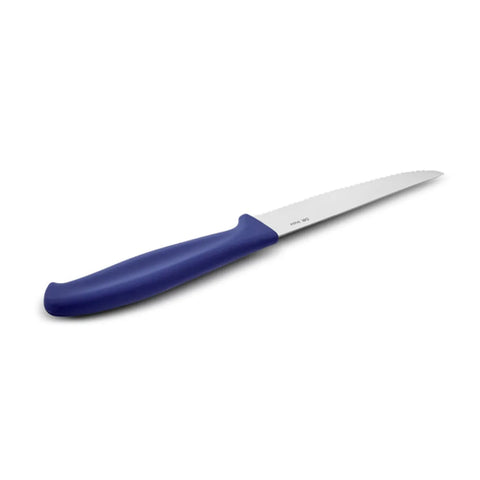 Dr Inox Steakmesser, Blau